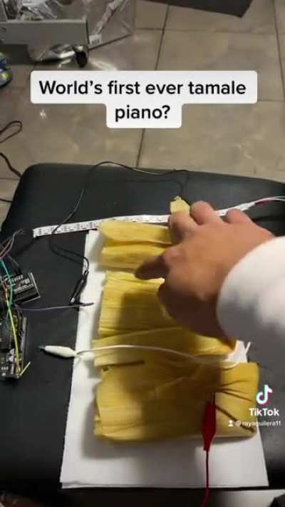 Tamale Piano for the holidays ?