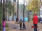 WCGW running in a straight line away from a falling tree
