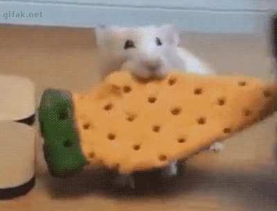 My husband sent me this and I thought of this sub immediately ?