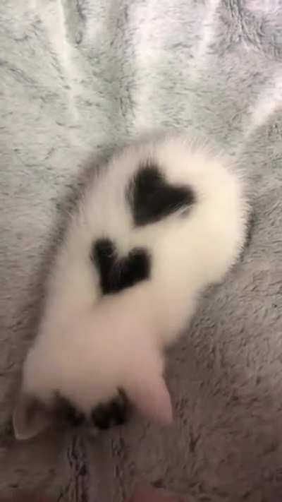 She said she loved me :">