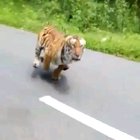 Ride for your life