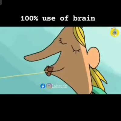 Big Brain Boom!!