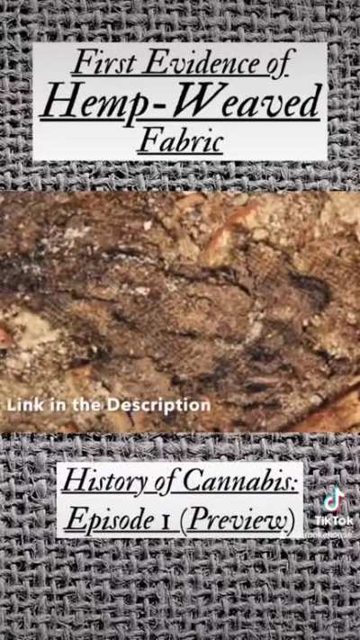 Cannabis Evidence in the Stone Age