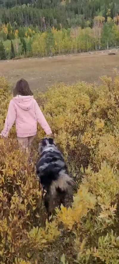 Christmas meadows fun!! ?