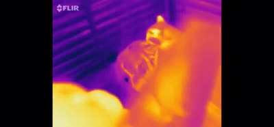 Germanium metal is transparent in infrared light.