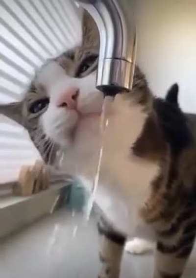 "Say something for his Thristy"
