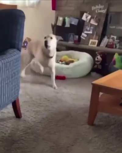 Wow