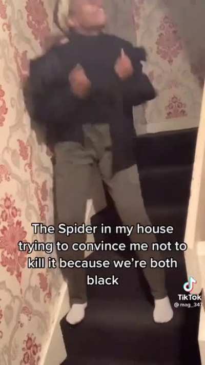 Please just leave spiders alone ?