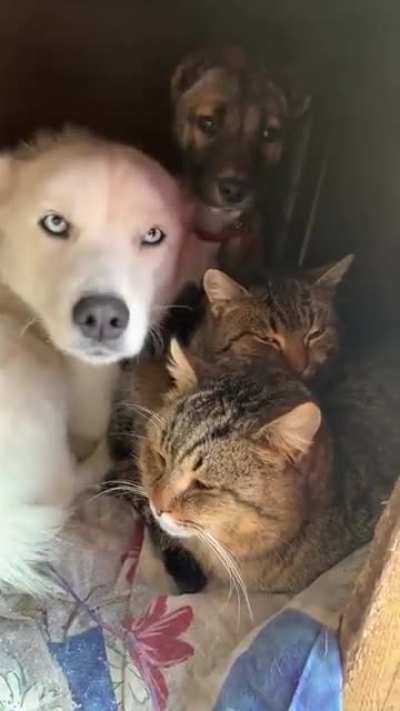 Aww I wanna join their club! ?