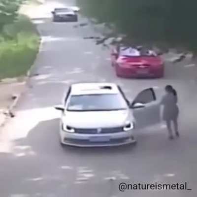 Would you like to drive?