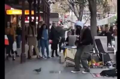 Birds this day??
