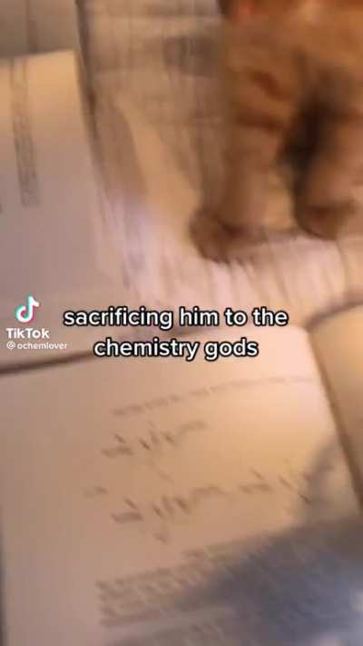A worthy sacrifice