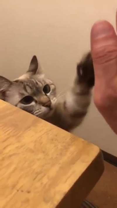 High five cheer