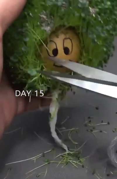 Maybe maybe maybe