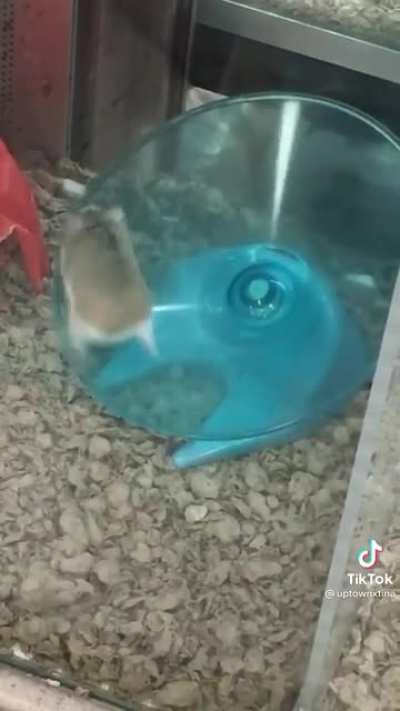 Look at him go