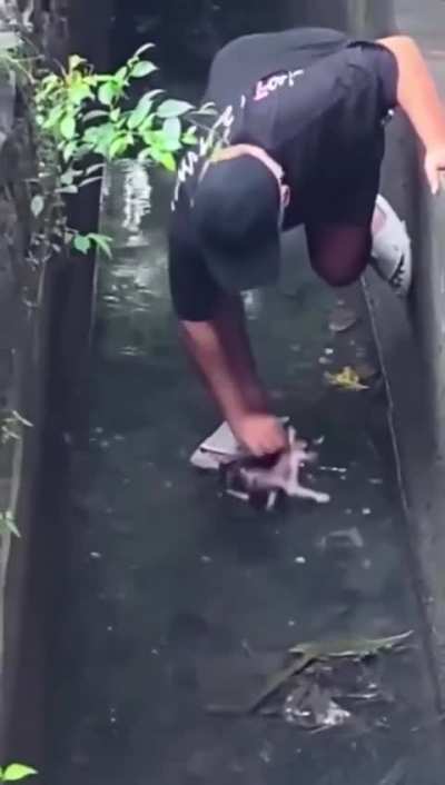 He was just trying to help ?
