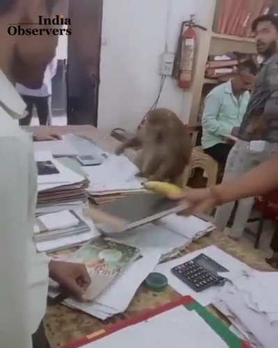 He didnt even take the banana bribe....only work during office hours?✊