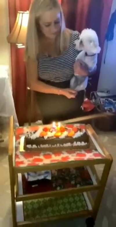 well, it's its birthday ??‍♂️