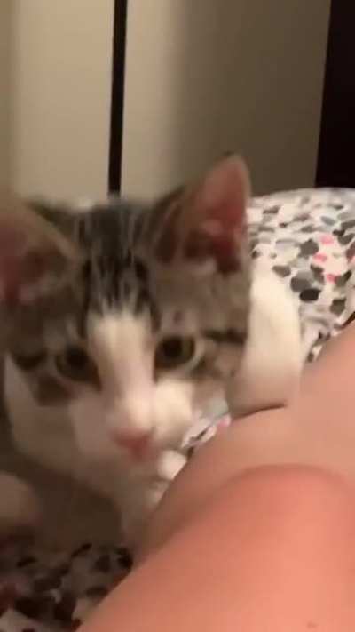 Excuse YOU!