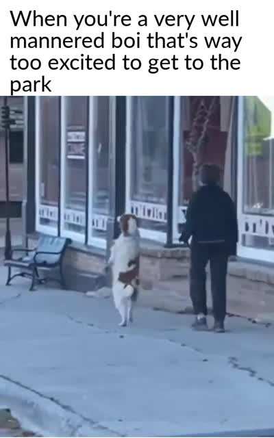 Just trotting along