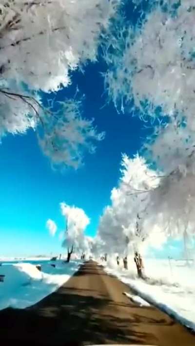 ? Winter in Spain