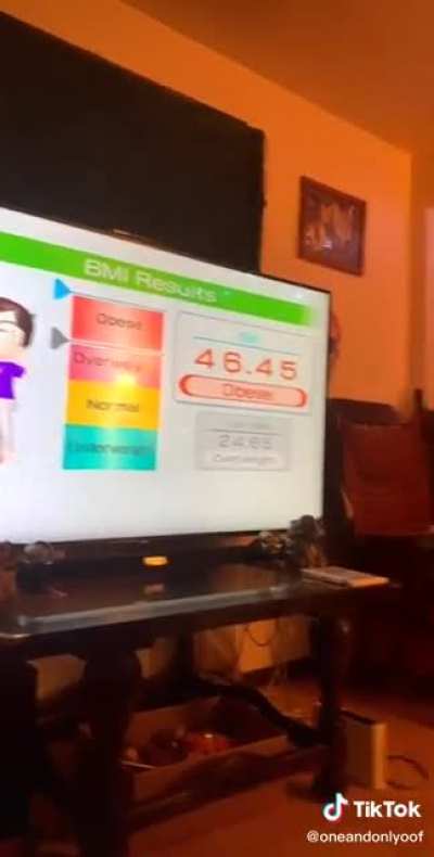 Wii Fit