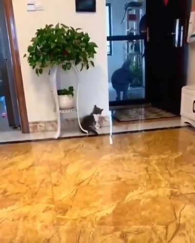 attack greeting
