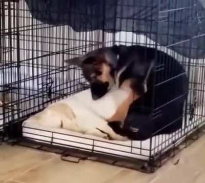 Oh, my heart! This is so precious! ?☺