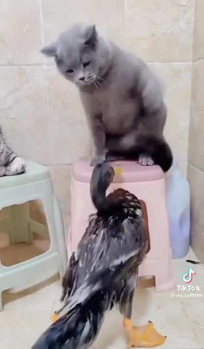 getting smacked