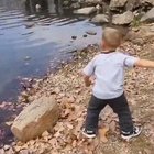 Nice shot
