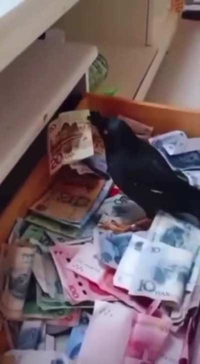 Daily income