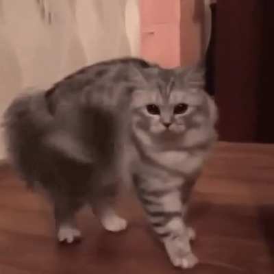 What was that?