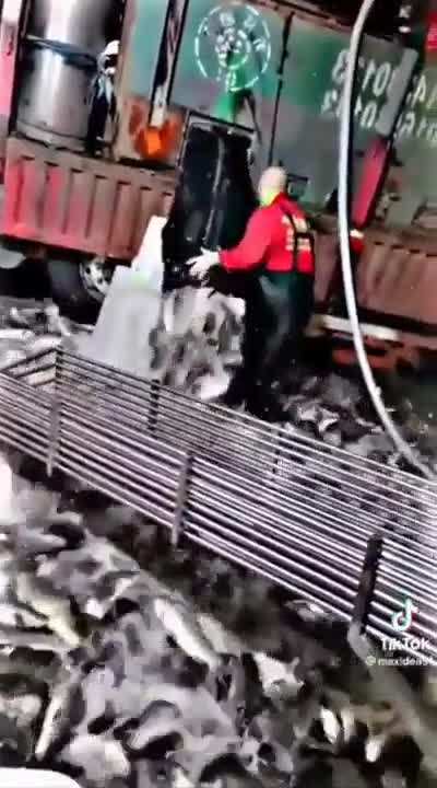 Bad day at the office