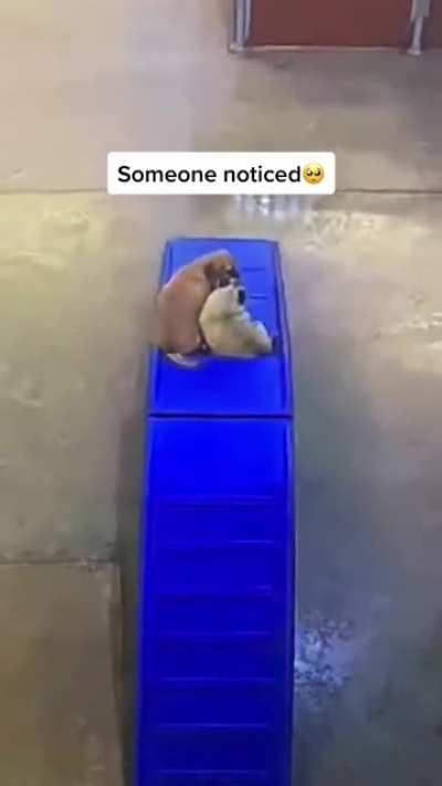 "Fiest day? It's okay buddy i got you, you’ll be just fine..”