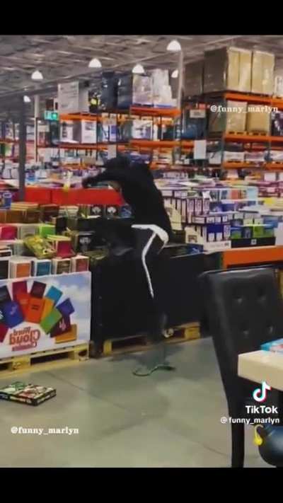 Boo ?