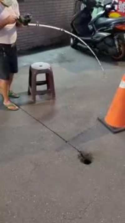 Man fishing white eel from a hole on the road