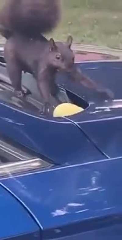 This looks to be a good spot