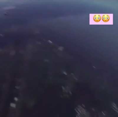At an aerial stunt