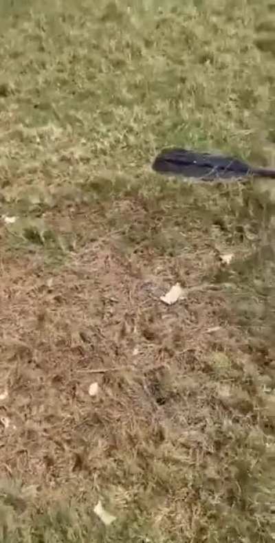 Oh shit