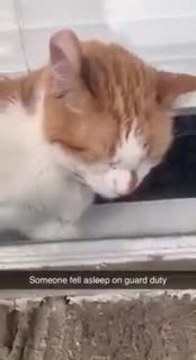 Don’t sleep on guard duty
