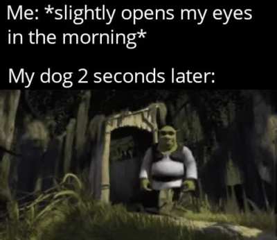 Hello there