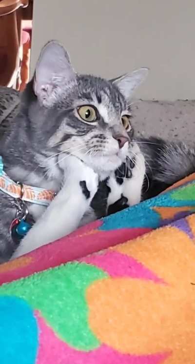 Trying to Watch TV