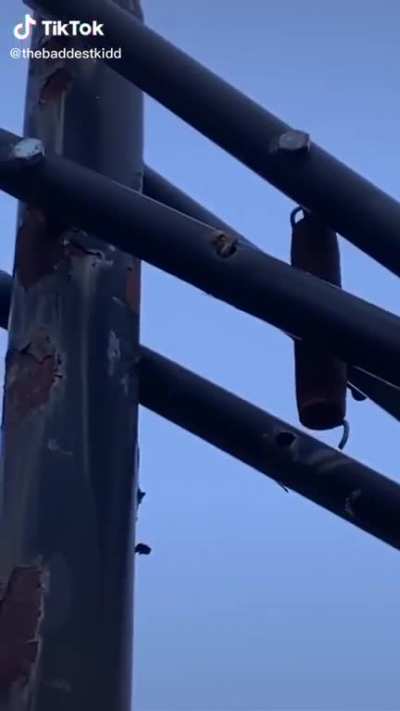 Kid isn't going to "let no bees into our neighborhood" by throwing a basketball at bees