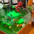 Fish playing soccer.