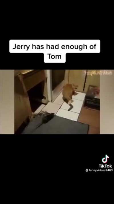 Enough is enough