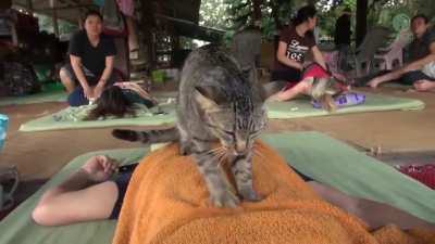 Massage place owner shows how it's done