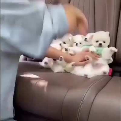?