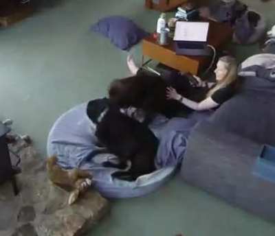 Be cautious about your expensive gadgets when kids and pets are around?