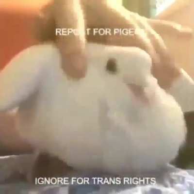 ︻デ═一 Do it ︻デ═一