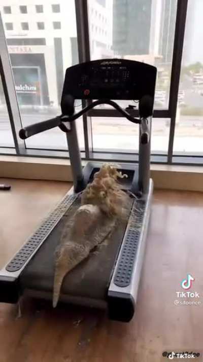 Doing some cardio
